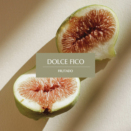 DOLCE FICO